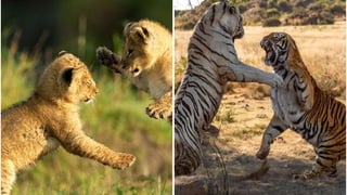 Military Science for Game Designers