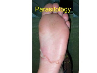 Parasitology
 