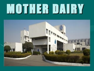 MOTHER DAIRY 