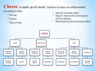 Cheese is made up of casein. Varieties of cheese are differentiated
according to their
*Flavour
*Texture
*Type of milk
CHEESE
Hard
Bacterial
ripening
Cheshire ;
cheddar
Mould
ripening
Stilton
Semi hard
Bacterial
ripening
Gouda
Edam
Mould
ripening
Roquefort
Soft
Bacterial
ripening
Limberger
Mould
ripening
Camembert
Unripened
Cottage
cheese
* Salts & seasoning added
* Type of bacteria & mould species
used in ripening
* Manufacturing & processing method
 