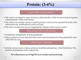 Protein: (3-4%)
Casein (80% of milk protein)
• The casein is arranged in super-structures called micelles, which consist of protein together
with phosphate, citrate and calcium.
• The caseins are actually a group of similar proteins, which can be separated from the other
milk proteins by acidification to a pH of 4.6 (Ip)
• The casein micelles also may be coagulated by addition of the enzyme rennin.
Whey proteins (20% of milk protein)
• lactalbumin, lactoglobulin & immunoglobulin
• Whey proteins are more hydrated than casein and are denatured and precipitated by heat
rather than by acid.
Other protein components
• include enzymes such as lipase, protease, & alkaline phosphatase, which hydrolyses TGs,
proteins, & phosphate esters, respectively.
Themilk proteins areofhigh BV & arereadily used by the body
 