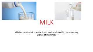 MILK
Milk is a nutrient-rich, white liquid food produced by the mammary
glands of mammals
 
