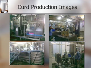 Curd Production Images 