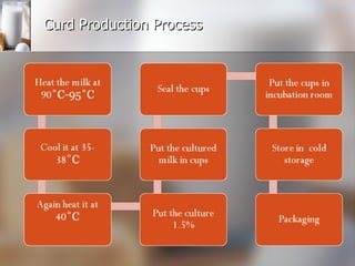 Curd Production Process 
