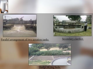 Parallel arrangement of two aeration tanks  Secondary clarifier  Sludge drying beds  