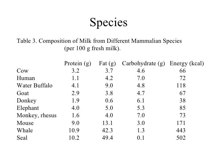 Milk and Dairy Foods