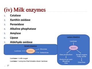 (iv) Milk enzymes
1. Catalase
2. Xanthin oxidase
3. Peroxidase
4. Alkaline phophatase
5. Amylase
6. Lipase
7. Aldehyde oxidase
27
 