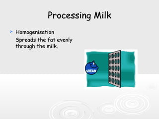 Processing MilkProcessing Milk
 HomogenisationHomogenisation
Spreads the fat evenlySpreads the fat evenly
through the milk.through the milk.
 