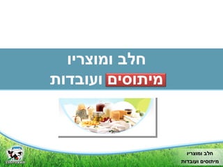 ‫ומוצריו‬ ‫חלב‬‫ומוצריו‬ ‫חלב‬
‫ועובדות‬ ‫מיתוסים‬‫ועובדות‬ ‫מיתוסים‬
‫ומוצריו‬ ‫חלב‬
‫ועובדות‬ ‫מיתוסים‬
 