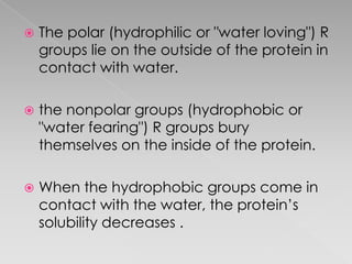    The polar (hydrophilic or "water loving") R
    groups lie on the outside of the protein in
    contact with water.

   the nonpolar groups (hydrophobic or
    "water fearing") R groups bury
    themselves on the inside of the protein.

   When the hydrophobic groups come in
    contact with the water, the protein’s
    solubility decreases .
 