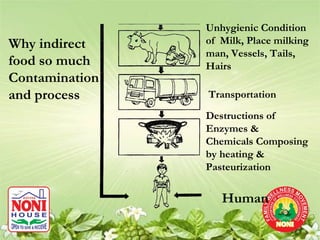 Unhygienic Condition
Why indirect    of Milk, Place milking
                man, Vessels, Tails,
food so much    Hairs
Contamination
and process     Transportation

                Destructions of
                Enzymes &
                Chemicals Composing
                by heating &
                Pasteurization


                   Human
 