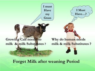 I must
                        Have              I Must
                         my               Have…?
                       Grass




Growing Calf needs no       Why do human needs
milk & milk Substitutes ?   milk & milk Substitutes ?



    Forget Milk after weaning Period
 