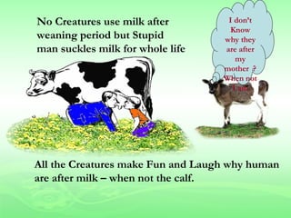 No Creatures use milk after         I don’t
                                    Know
weaning period but Stupid          why they
man suckles milk for whole life    are after
                                      my
                                   mother ?
                                   When not
                                     I am




All the Creatures make Fun and Laugh why human
are after milk – when not the calf.
 