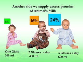Another side we supply excess proteins
                of Animal’s Milk

8%              16%              24%




One Glass      2 Glasses a day     3 Glasses a day
200 ml          400 ml             600 ml
 