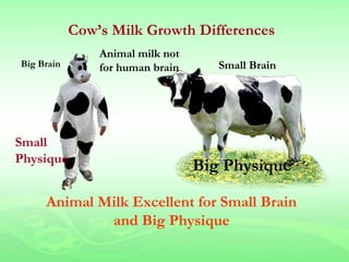 Cow’s Milk Growth Differences
                Animal milk not
Big Brain       for human brain      Small Brain




Small
Physique
                                  Big Physique

     Animal Milk Excellent for Small Brain
             and Big Physique
 