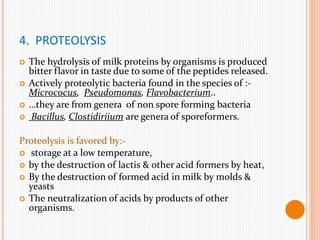4. PROTEOLYSIS
 The hydrolysis of milk proteins by organisms is produced
bitter flavor in taste due to some of the peptides released.
 Actively proteolytic bacteria found in the species of :-
Micrococus, Pseudomonas, Flavobacterium..
 …they are from genera of non spore forming bacteria
 Bacillus, Clostidiriium are genera of sporeformers.
Proteolysis is favored by:-
 storage at a low temperature,
 by the destruction of lactis & other acid formers by heat,
 By the destruction of formed acid in milk by molds &
yeasts
 The neutralization of acids by products of other
organisms.
 