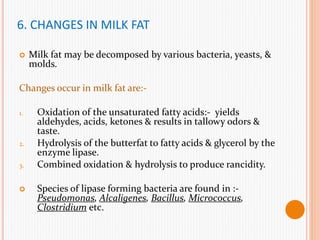 6. CHANGES IN MILK FAT
 Milk fat may be decomposed by various bacteria, yeasts, &
molds.
Changes occur in milk fat are:-
1. Oxidation of the unsaturated fatty acids:- yields
aldehydes, acids, ketones & results in tallowy odors &
taste.
2. Hydrolysis of the butterfat to fatty acids & glycerol by the
enzyme lipase.
3. Combined oxidation & hydrolysis to produce rancidity.
 Species of lipase forming bacteria are found in :-
Pseudomonas, Alcaligenes, Bacillus, Micrococcus,
Clostridium etc.
 
