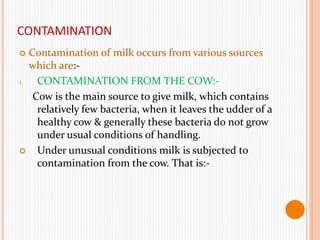 CONTAMINATION
 Contamination of milk occurs from various sources
which are:-
1. CONTAMINATION FROM THE COW:-
Cow is the main source to give milk, which contains
relatively few bacteria, when it leaves the udder of a
healthy cow & generally these bacteria do not grow
under usual conditions of handling.
 Under unusual conditions milk is subjected to
contamination from the cow. That is:-
 