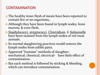 CONTAMINATION
 The healthy inner flesh of meats have been reported to
contain few or no organisms,.
 Although they have been found in lymph nodes, bone
marrow, & even flesh.
 Staphylococci, streptococci, Clostridium, & Salmonella
have been isolated from the lymph nodes of red meat
animals.
 So normal slaughtering practices would remove the
lymph nodes from edible parts.
 Approved “humane” methods of slaughter-
mechanical, chemical, electrical- have little effect of
contamination..
 But each method is followed by sticking & bleeding,
which can introduce contamination.
 