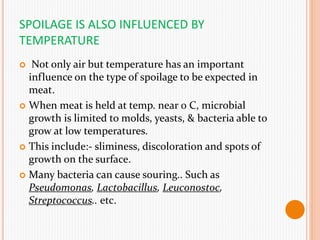 SPOILAGE IS ALSO INFLUENCED BY
TEMPERATURE
 Not only air but temperature has an important
influence on the type of spoilage to be expected in
meat.
 When meat is held at temp. near 0 C, microbial
growth is limited to molds, yeasts, & bacteria able to
grow at low temperatures.
 This include:- sliminess, discoloration and spots of
growth on the surface.
 Many bacteria can cause souring.. Such as
Pseudomonas, Lactobacillus, Leuconostoc,
Streptococcus.. etc.
 