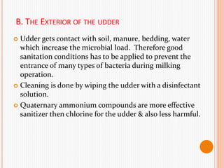 B. THE EXTERIOR OF THE UDDER
 Udder gets contact with soil, manure, bedding, water
which increase the microbial load. Therefore good
sanitation conditions has to be applied to prevent the
entrance of many types of bacteria during milking
operation.
 Cleaning is done by wiping the udder with a disinfectant
solution.
 Quaternary ammonium compounds are more effective
sanitizer then chlorine for the udder & also less harmful.
 