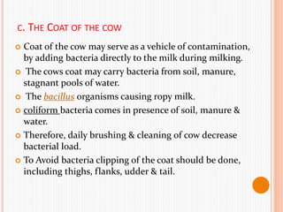 C. THE COAT OF THE COW
 Coat of the cow may serve as a vehicle of contamination,
by adding bacteria directly to the milk during milking.
 The cows coat may carry bacteria from soil, manure,
stagnant pools of water.
 The bacillus organisms causing ropy milk.
 coliform bacteria comes in presence of soil, manure &
water.
 Therefore, daily brushing & cleaning of cow decrease
bacterial load.
 To Avoid bacteria clipping of the coat should be done,
including thighs, flanks, udder & tail.
 