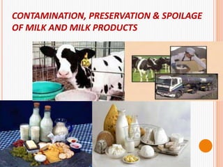 CONTAMINATION, PRESERVATION & SPOILAGE
OF MILK AND MILK PRODUCTS
 