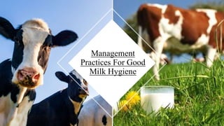 Management
Practices For Good
Milk Hygiene
1
 