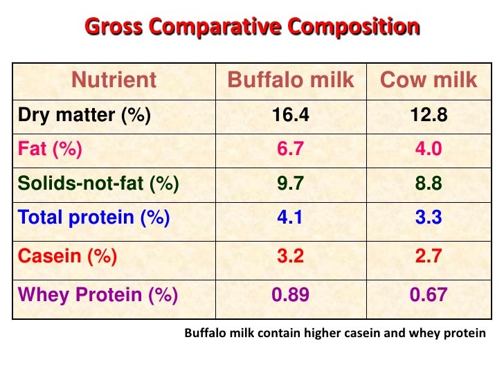 Milk As Nutraceutical milk-as-nutraceutical