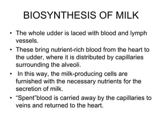 BIOSYNTHESIS OF MILK
• The whole udder is laced with blood and lymph
vessels.
• These bring nutrient-rich blood from the heart to
the udder, where it is distributed by capillaries
surrounding the alveoli.
• In this way, the milk-producing cells are
furnished with the necessary nutrients for the
secretion of milk.
• “Spent”blood is carried away by the capillaries to
veins and returned to the heart.