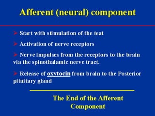 Milk Biosynthesis.pptx