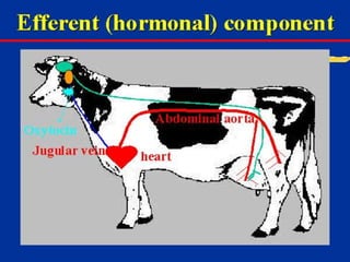 Milk Biosynthesis.pptx