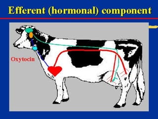Milk Biosynthesis.pptx