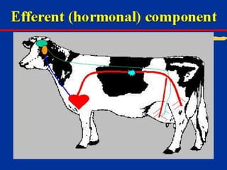Milk Biosynthesis.pptx