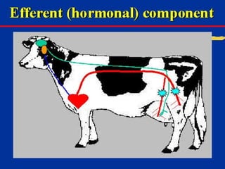 Milk Biosynthesis.pptx