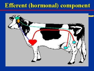Milk Biosynthesis.pptx
