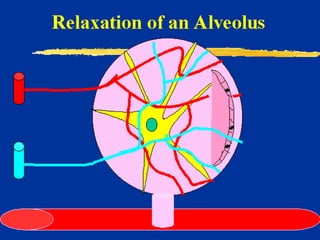 Milk Biosynthesis.pptx