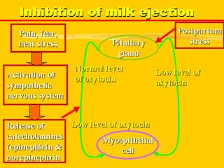 Milk Biosynthesis.pptx