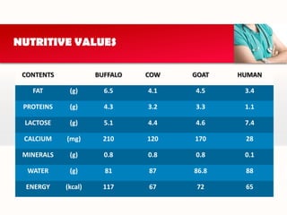 It’s the first food we taste.