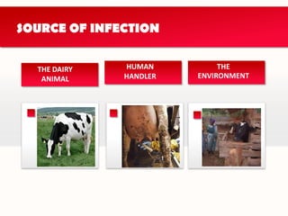 Contains all nutrients necessary for growth and development.NUTRITIVE VALUES