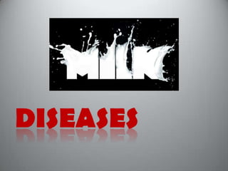 MILK- PRODUCTSBUTTER