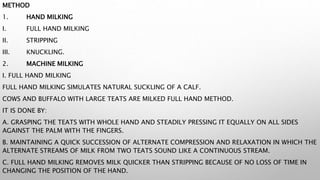 METHOD
1. HAND MILKING
I. FULL HAND MILKING
II. STRIPPING
III. KNUCKLING.
2. MACHINE MILKING
I. FULL HAND MILKING
FULL HAND MILKING SIMULATES NATURAL SUCKLING OF A CALF.
COWS AND BUFFALO WITH LARGE TEATS ARE MILKED FULL HAND METHOD.
IT IS DONE BY:
A. GRASPING THE TEATS WITH WHOLE HAND AND STEADILY PRESSING IT EQUALLY ON ALL SIDES
AGAINST THE PALM WITH THE FINGERS.
B. MAINTAINING A QUICK SUCCESSION OF ALTERNATE COMPRESSION AND RELAXATION IN WHICH THE
ALTERNATE STREAMS OF MILK FROM TWO TEATS SOUND LIKE A CONTINUOUS STREAM.
C. FULL HAND MILKING REMOVES MILK QUICKER THAN STRIPPING BECAUSE OF NO LOSS OF TIME IN
CHANGING THE POSITION OF THE HAND.
 