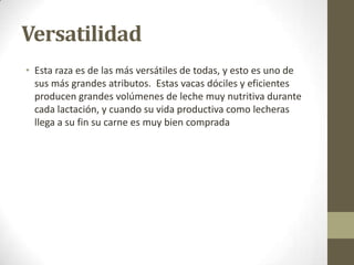 Versatilidad
• Esta raza es de las más versátiles de todas, y esto es uno de
sus más grandes atributos. Estas vacas dóciles y eficientes
producen grandes volúmenes de leche muy nutritiva durante
cada lactación, y cuando su vida productiva como lecheras
llega a su fin su carne es muy bien comprada
 