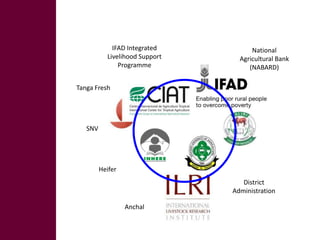 Introducing the MilkIT project and its initial results