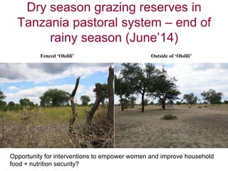 Introducing the MilkIT project and its initial results