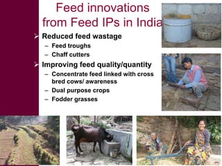 Introducing the MilkIT project and its initial results