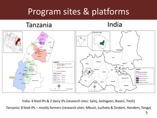 MilkIT innovation platform impact assessment in India and Tanzania