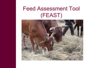 Introducing the MilkIT project: Enhancing dairy-based livelihoods in India and Tanzania through feed innovation and value chain development approaches 