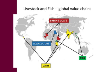 The MilkIT project in India and Tanzania