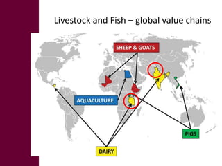 The MilkIT project in India and Tanzania